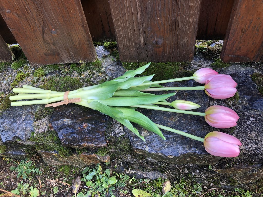 Umělé květiny růžové tulipány 5 ks